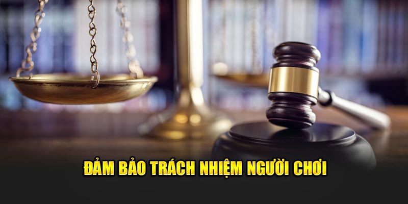 Đảm bảo trách nhiệm người chơi