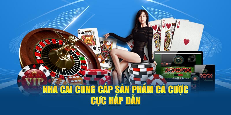 Nhà cái cung cấp sản phẩm cá cược cực hấp dẫn