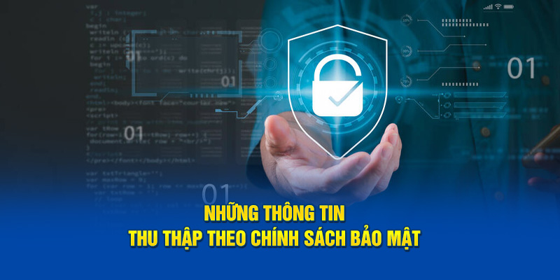 Tổng quan về những mục dữ liệu được thu thập theo chính sách bảo mật