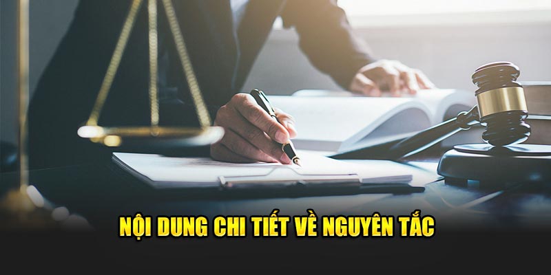 Nội dung khái quát về nguyên tắc nên biết